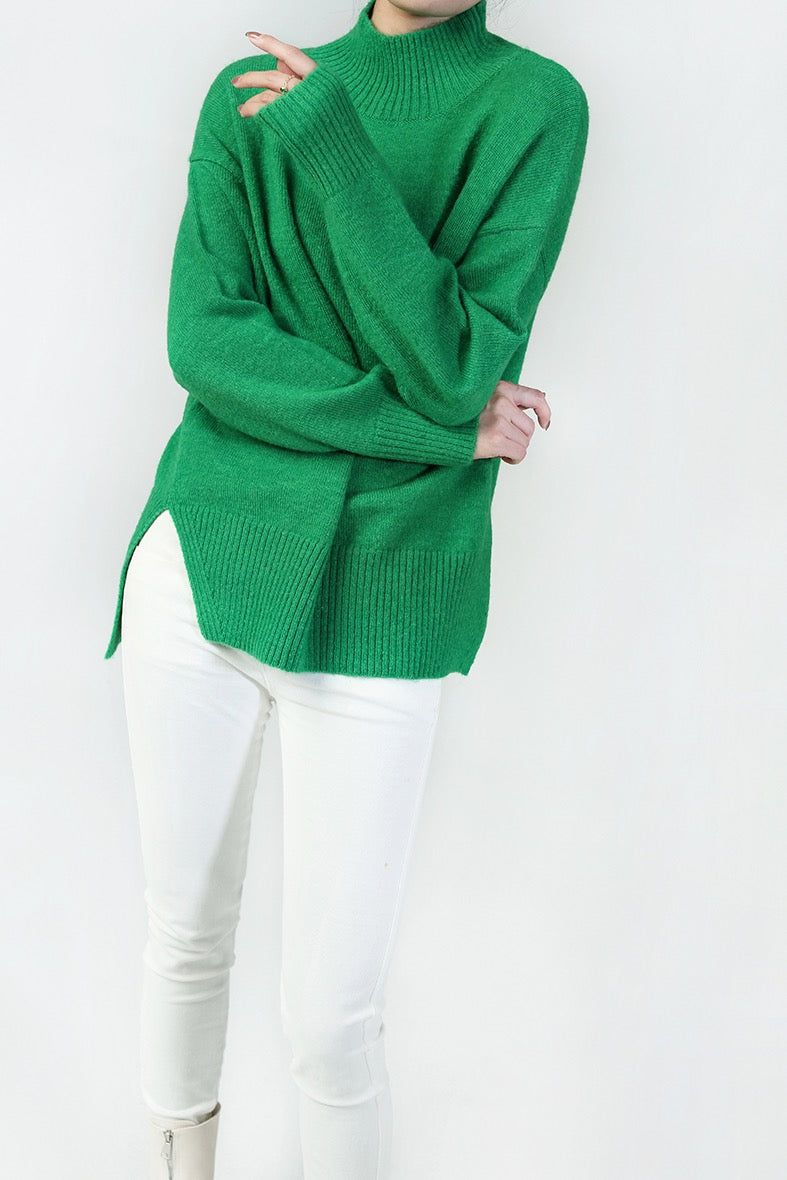 Pulli turtle