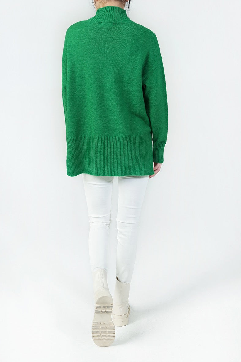 Pulli turtle