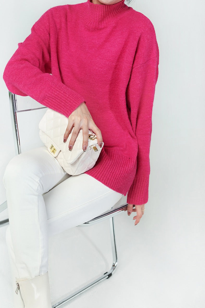 Pulli turtle